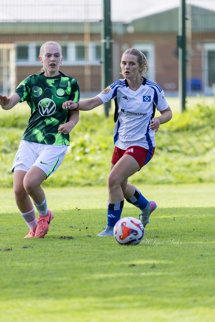 Bild 349 - wBJ Hamburger SV - VfL Wolfsburg : Ergebnis: 5:1